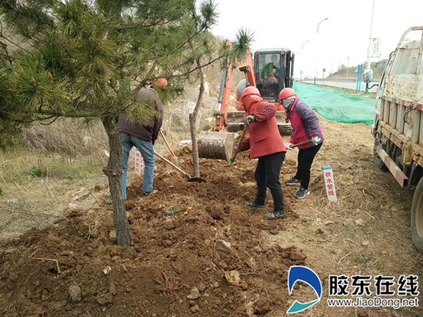 福山区绿化施工现场